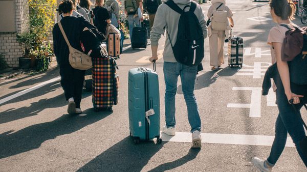 オーバーステイで入管に出頭するとどうなる？出頭後の就労・収容・在留特別許可を解説